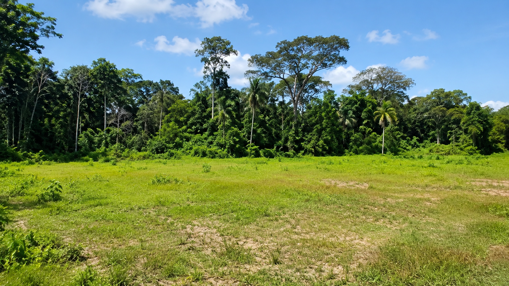 Lote 12 — 500 m² Esquinero